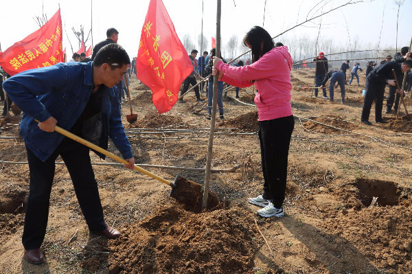 恒源熱力集團(tuán)團(tuán)委開展植樹活動(dòng)
